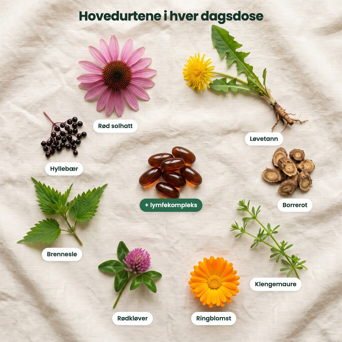 Hovedurtene i hver dagsdose